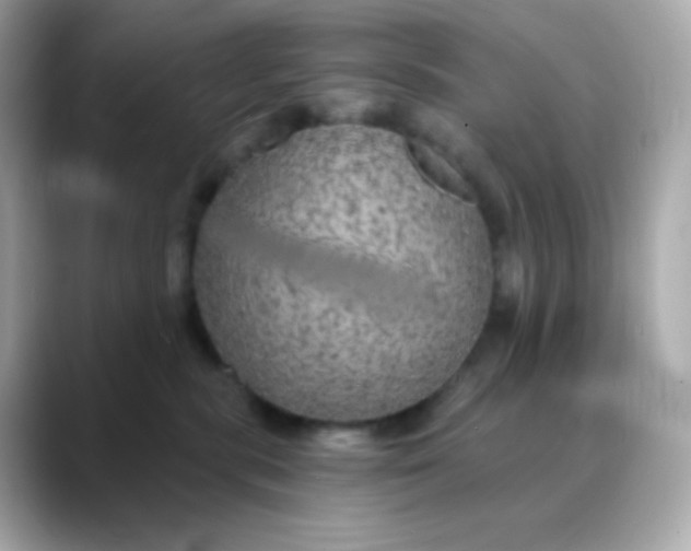 X0000088390283200706051123