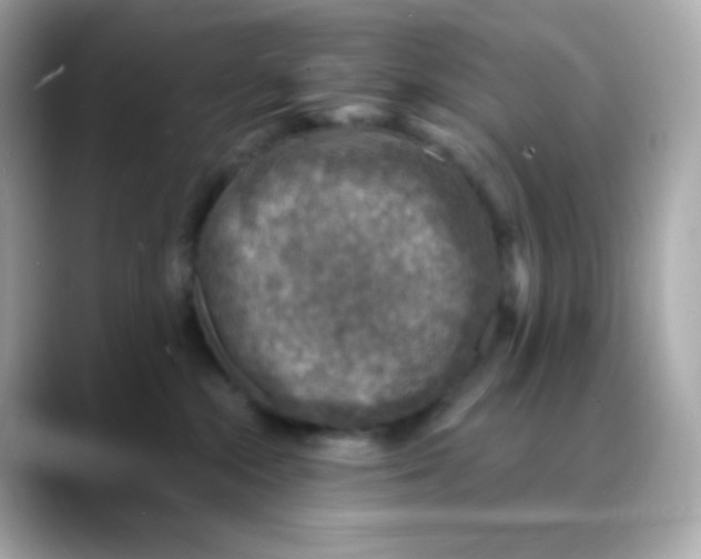 X0000088390284200706051123