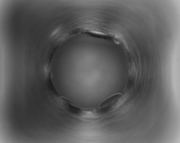 X0000088390285200706051123