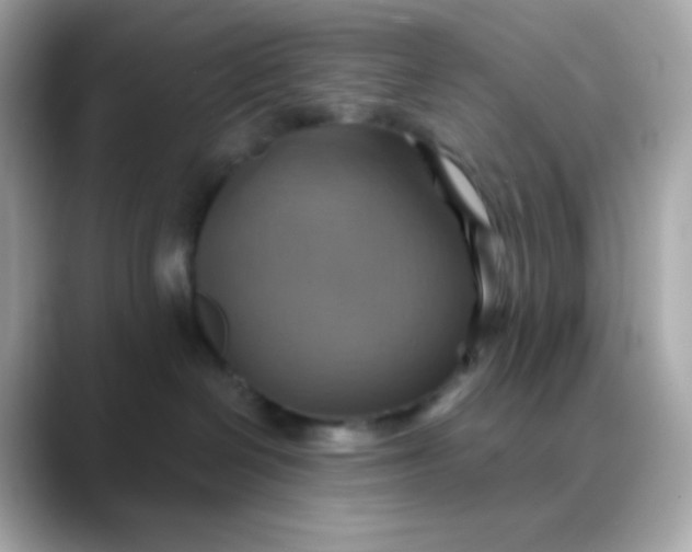 X0000088390286200706051123