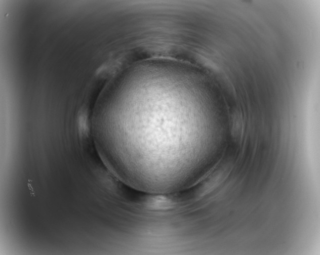 X0000088390287200706051123