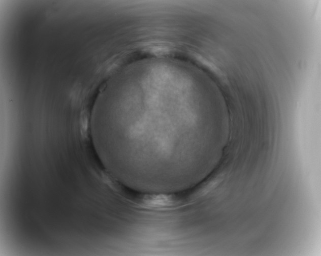 X0000088390288200706051123