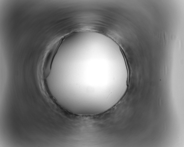 X0000088390289200706051122