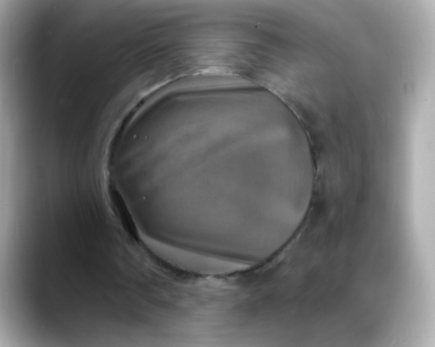 X0000088390290200706051122