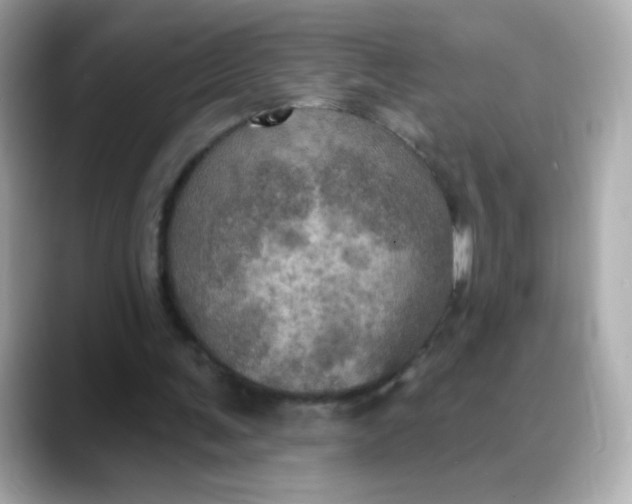 X0000088390291200706051122