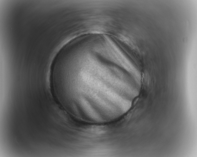 X0000088390292200706051122