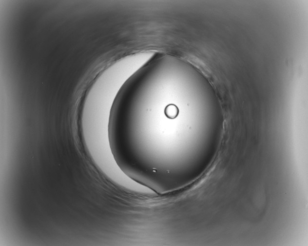 X0000088390293200706051122