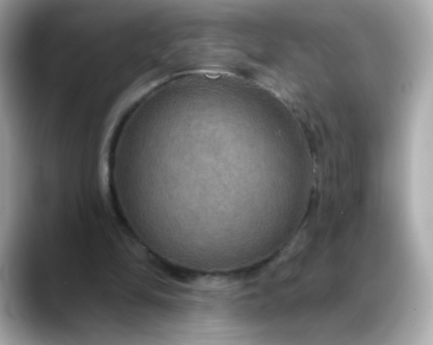 X0000088390294200706051122