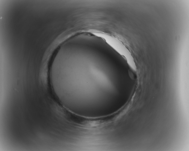 X0000088390295200706051122