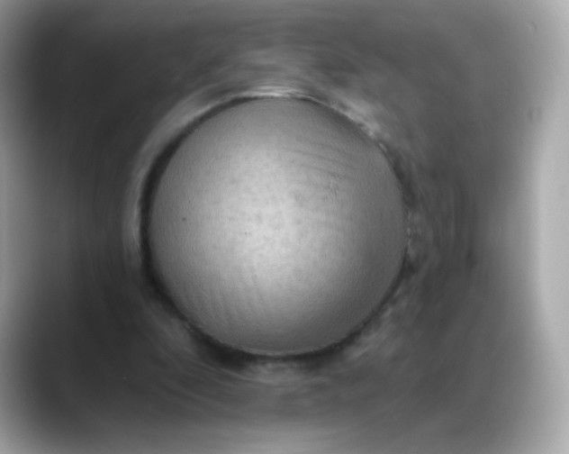 X0000088390296200706051122