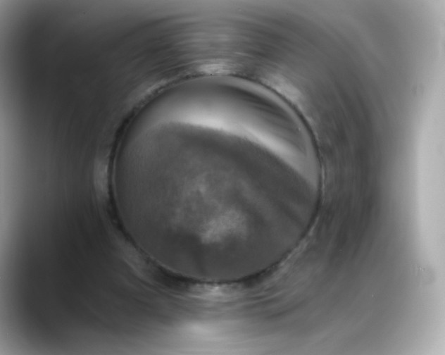 X0000088390297200706051122