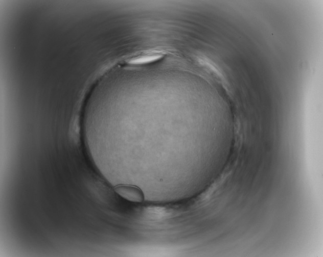 X0000088390298200706051122