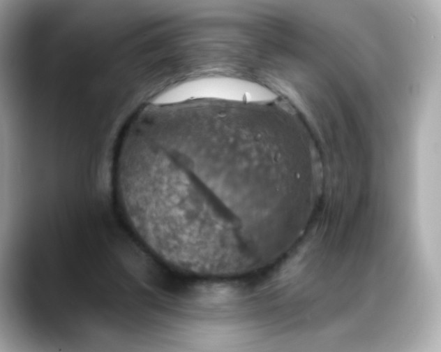 X0000088390299200706051122