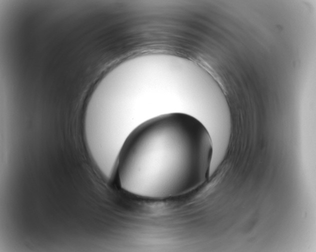 X0000088390301200706051122