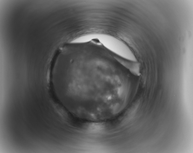 X0000088390303200706051122