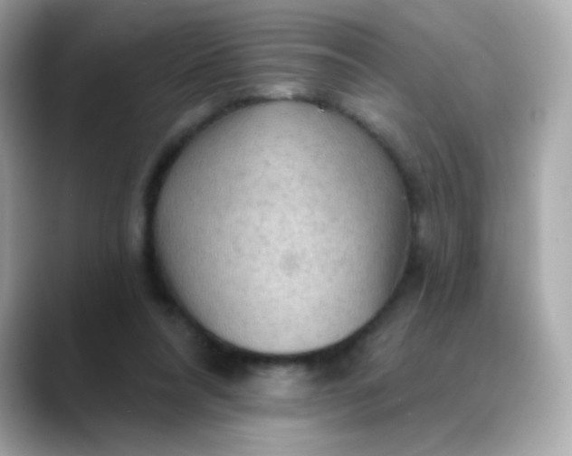 X0000088390304200706051122