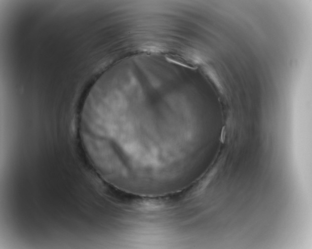 X0000088390305200706051122