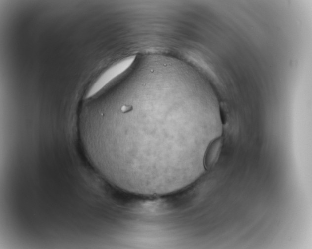 X0000088390306200706051122