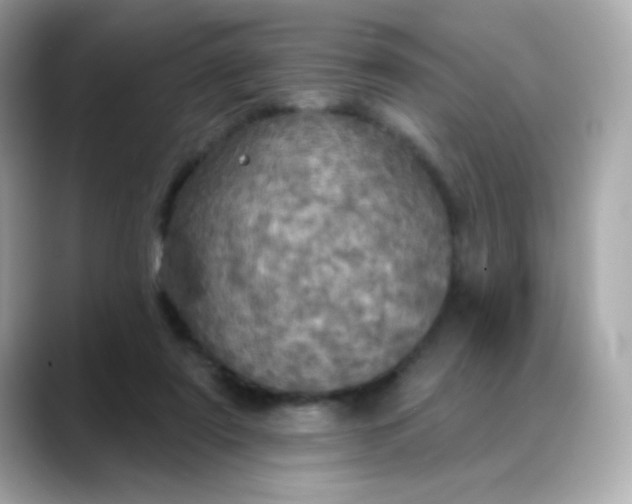 X0000088390307200706051122