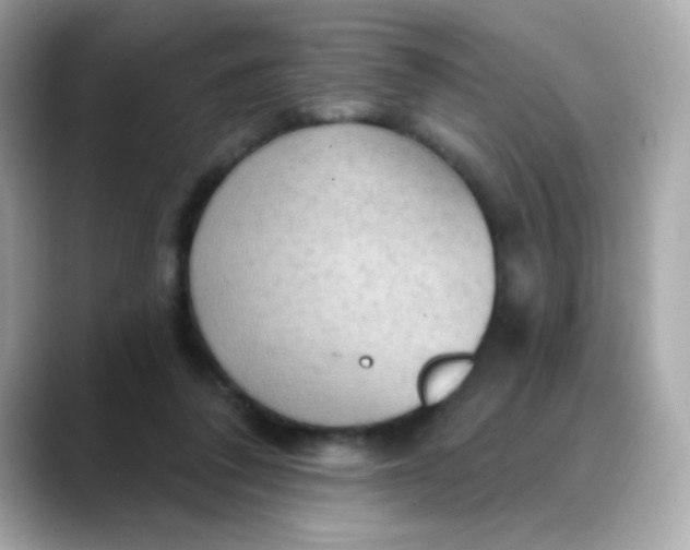 X0000088390308200706051122