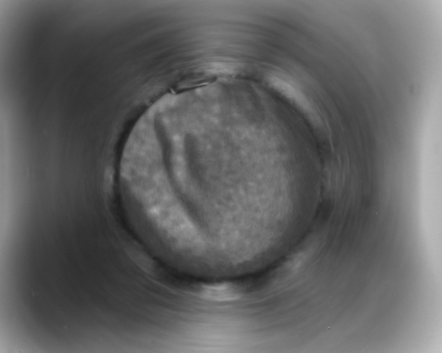 X0000088390309200706051122