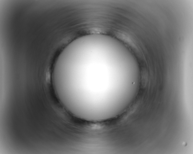 X0000088390310200706051122