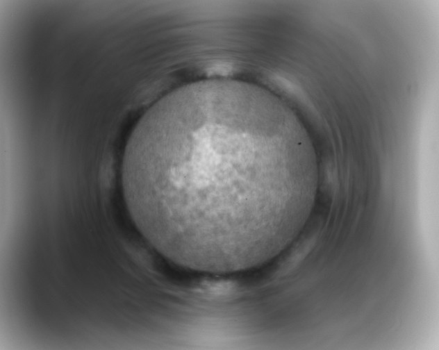 X0000088390311200706051122