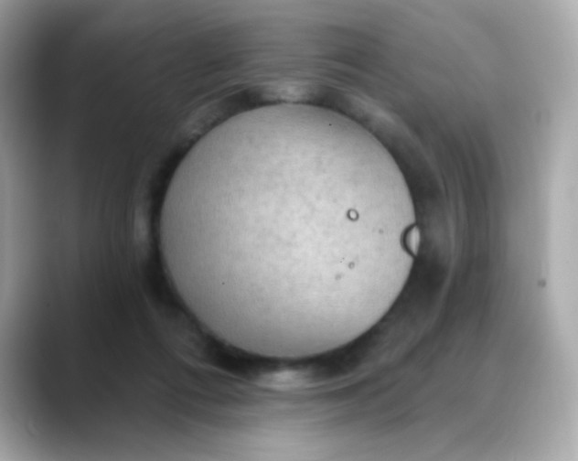 X0000088390312200706051122