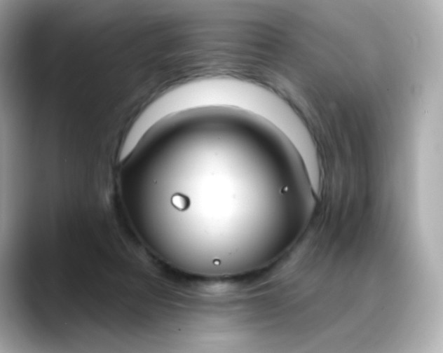 X0000088390313200706051122