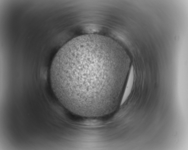 X0000088390315200706051122