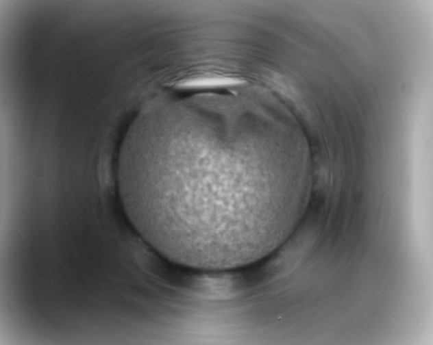 X0000088390317200706051122