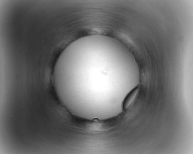 X0000088390318200706051122