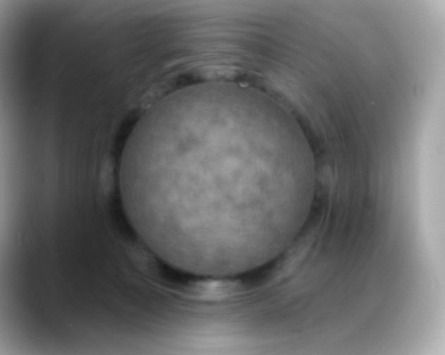 X0000088390323200706051122