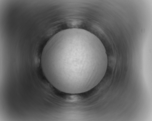 X0000088390324200706051122