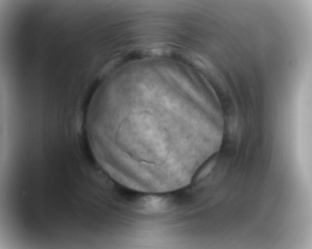 X0000088390326200706051122