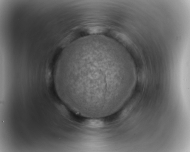 X0000088390327200706051122