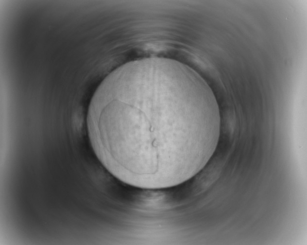 X0000088390328200706051122