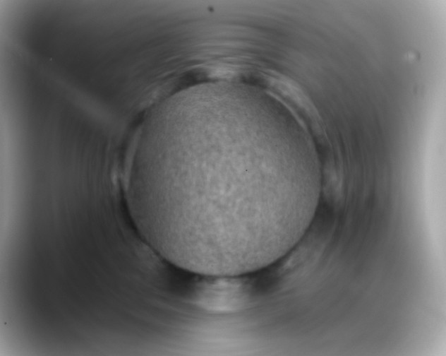 X0000088390329200706051122