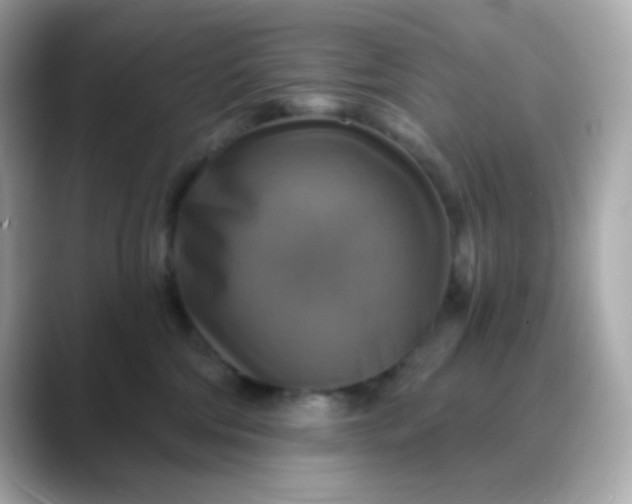 X0000088390330200706051122