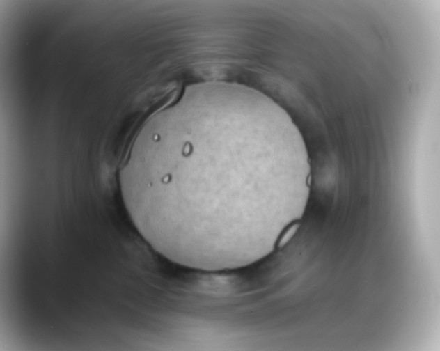 X0000088390332200706051122