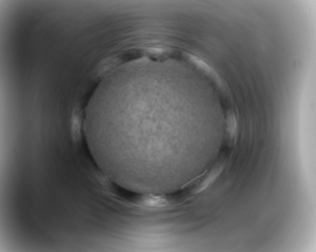 X0000088390333200706051122