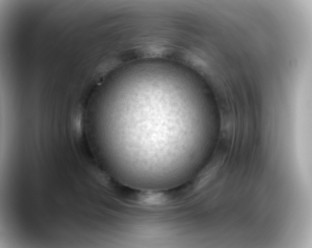 X0000088390334200706051122