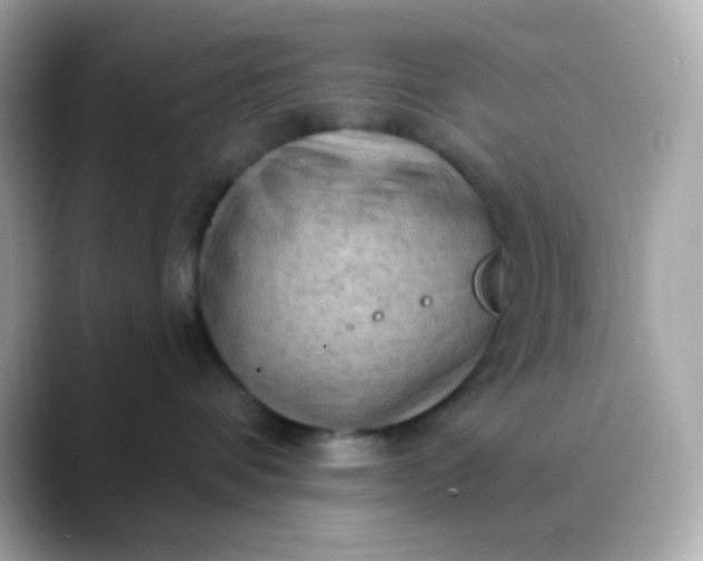 X0000088390336200706051122