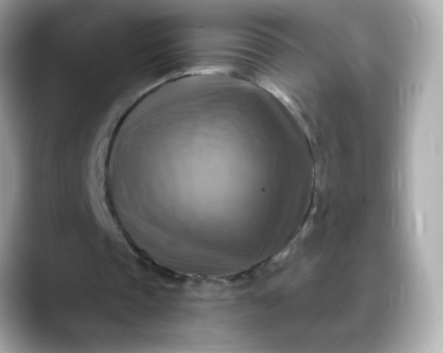 X0000088390337200706051121