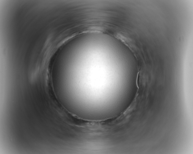 X0000088390338200706051121