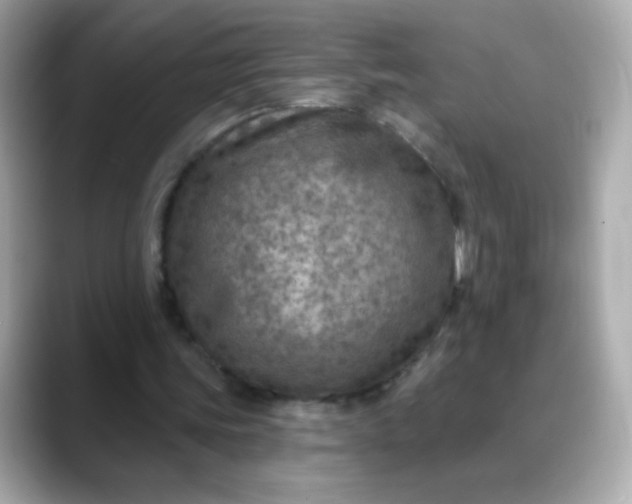 X0000088390339200706051121