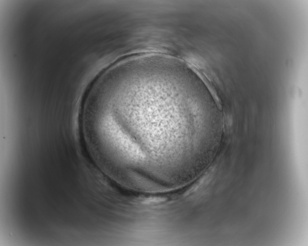 X0000088390340200706051121