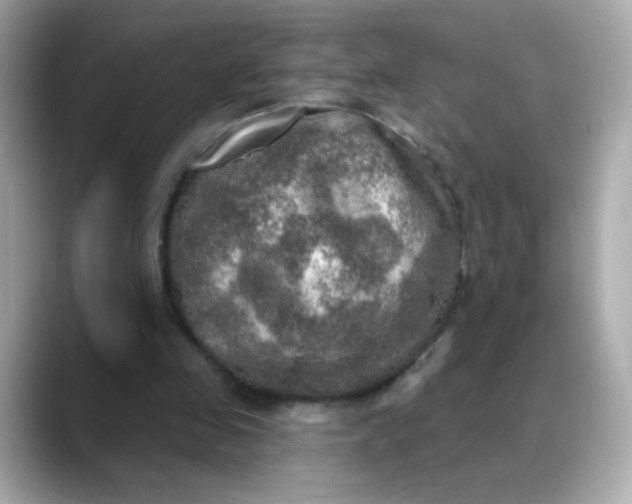 X0000088390341200706051121