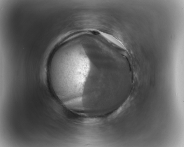 X0000088390342200706051121