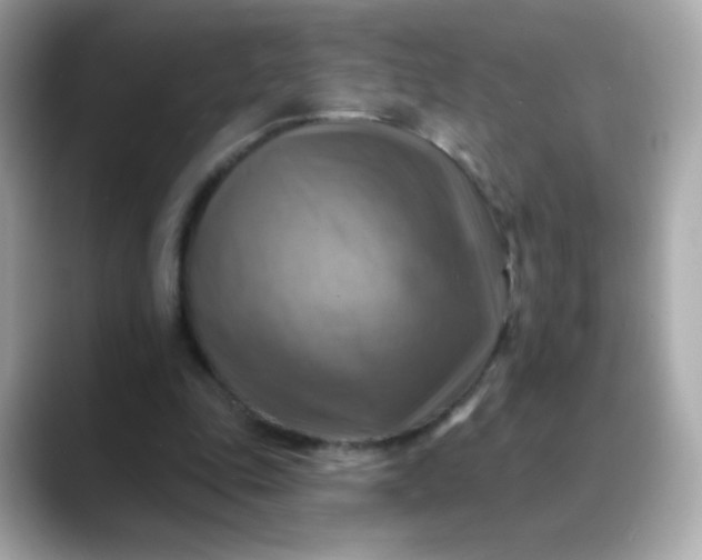 X0000088390343200706051121